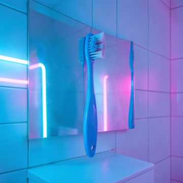 ​La Ballade de la Brosse Égarée