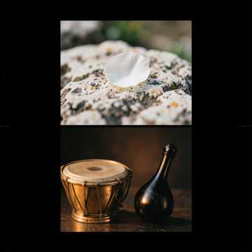 Zina2…coorigé 3 Alaoui Royal × Raggada Impériale A&B
