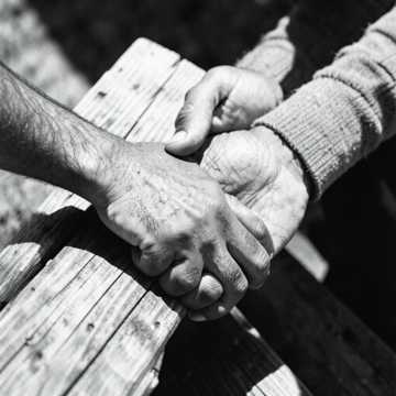 Skye's Sunlit Handshake