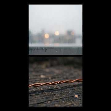 Truth On The Wire