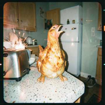 Elton‑Singing Chicken