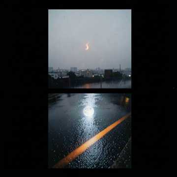 Midnight Phoenix Rising
