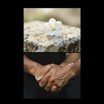 أحلى قرار