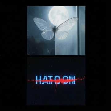 Paper Wings Paper Wings