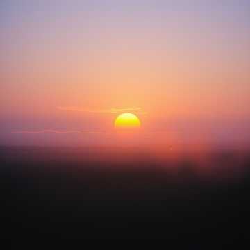 lady of the dawn lady of the dawn