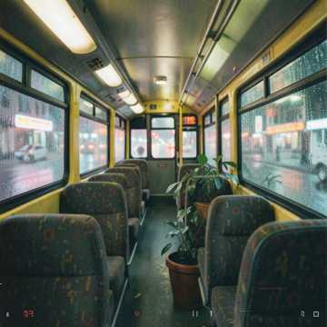Buske en Bladeren Buske en Bladeren