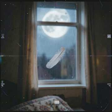 Silent Veil of Moonlit Grief