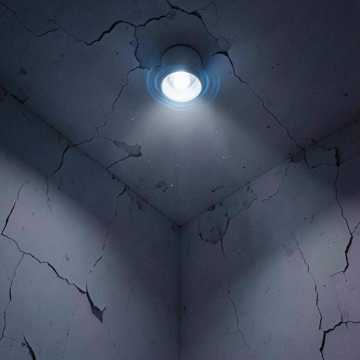 Blue Room Static