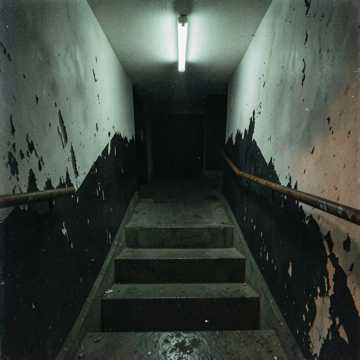 Basement Steps Basement Steps