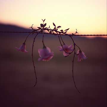 # Just the Two of Us