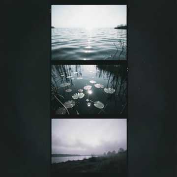 Echoes in the Horizon