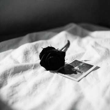 Scars Remain 