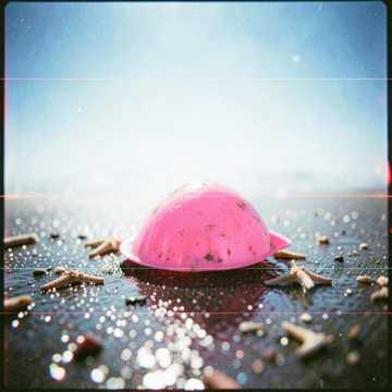 Pink Shell Queen Pink Shell Queen