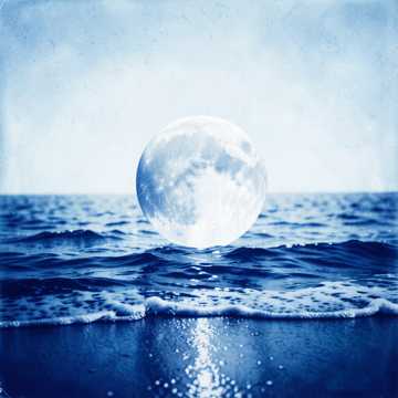 Salsa de Luna Salsa de Luna