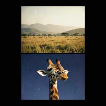Safari Dream – Rwanda Safari Dream – Rwanda