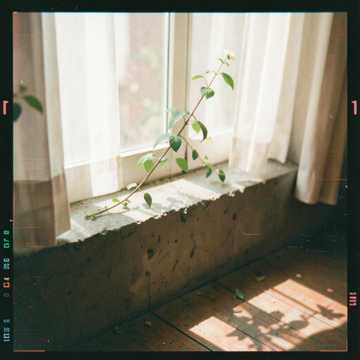 Jasmine Window