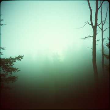 Whispers in the Glen