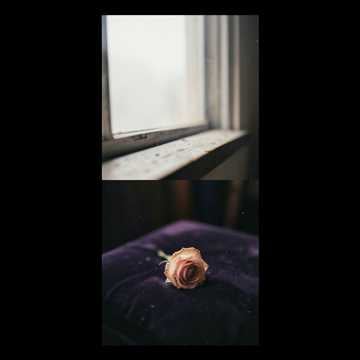 Lost Love