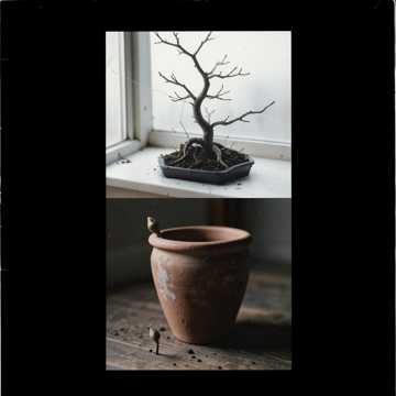 Dead Bonsai Dead Bonsai