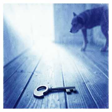 awerysopelea - I Miss Me Too awerysopelea - I Miss Me Too