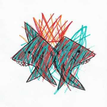 King & Queen Sharks