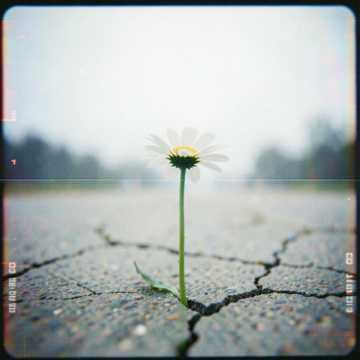 All to him All to him