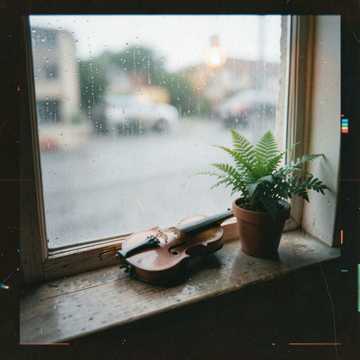 Sanctuary in the Rain