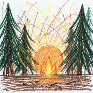 Wenn der Wald ruft