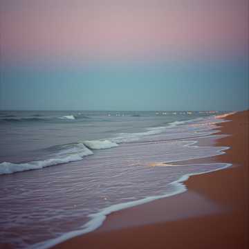 Summer Fades