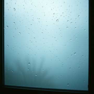 მარტოობა წვიმაში