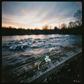 River's Dark Blue Serenade