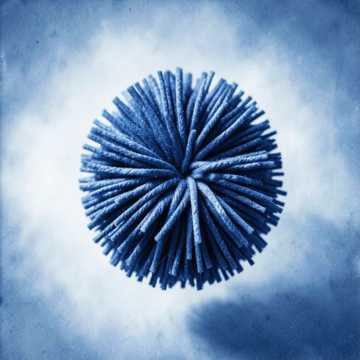 Pompom en alto Pompom en alto