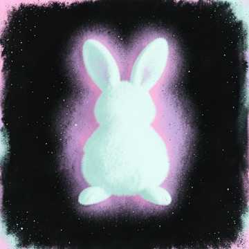 Hase 🐰 Hase 🐰