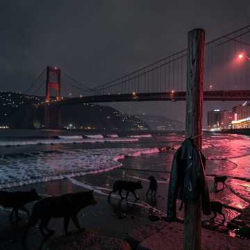 San Fran Steel Storm San Fran Steel Storm