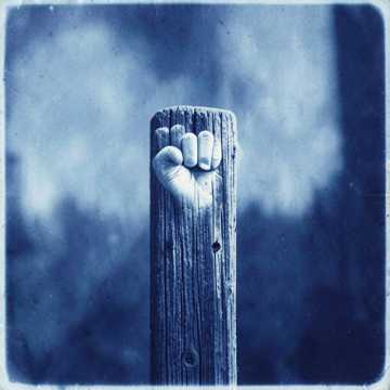 Did You Raise Your Fist?