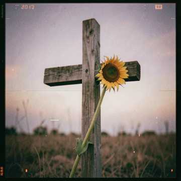 Camino por Recorrer 