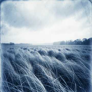 Bare Wind Fields