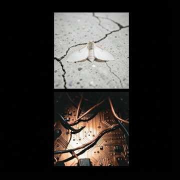 BAD MOTHAFUCKA 9-12-26●●●ALBUMCUT BAD MOTHAFUCKA 9-12-26●●●ALBUMCUT