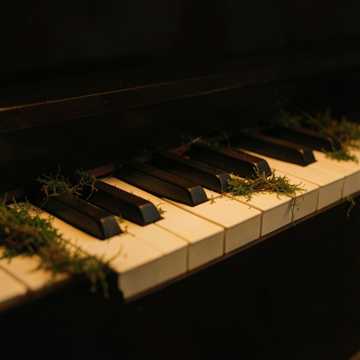 Echoes of a Silent Key