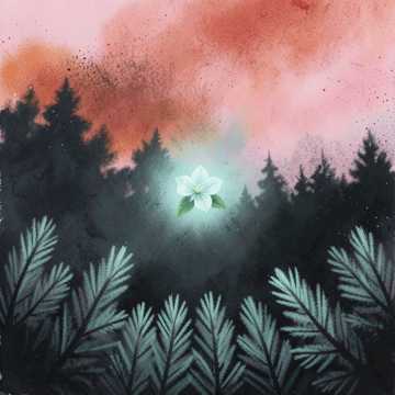 Midnight Pines, Honeysuckle Echo