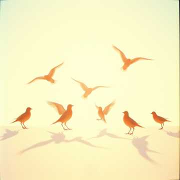 Dancing with krishna  