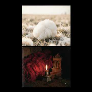 CULT of the Lamb
