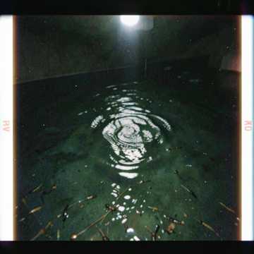 Submerged Bass & Midnight Waves