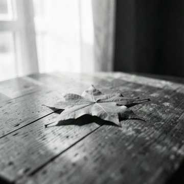Maple Room