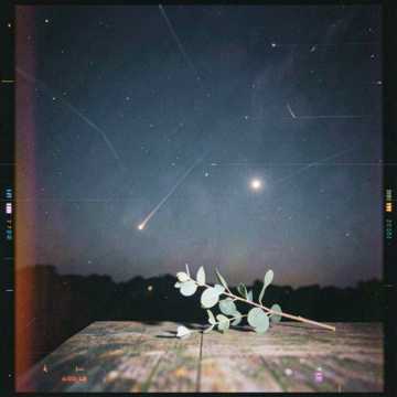 Perseids Perseids