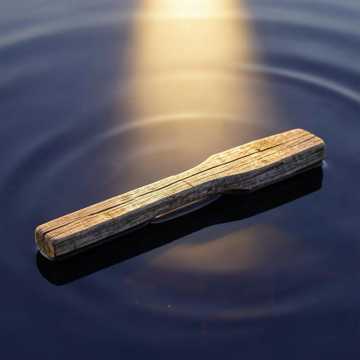 Trust In The Lord