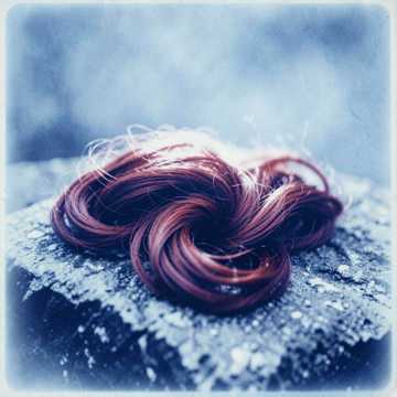 Rotes Haar Rotes Haar