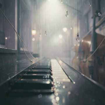 Paper Rain Paper Rain