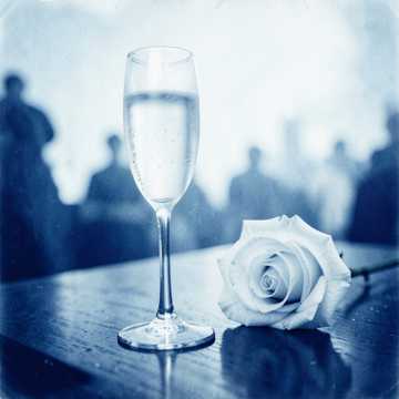 We Say Forever We Say Forever