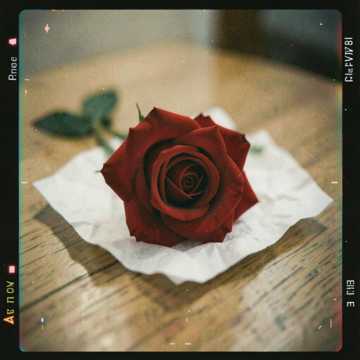 Really like